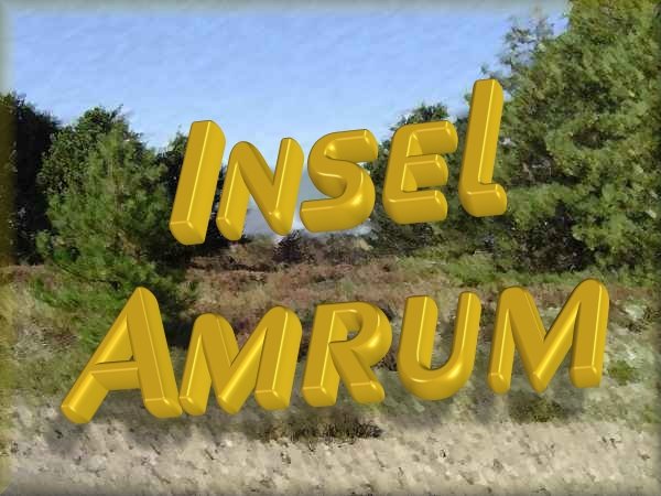 Amrum