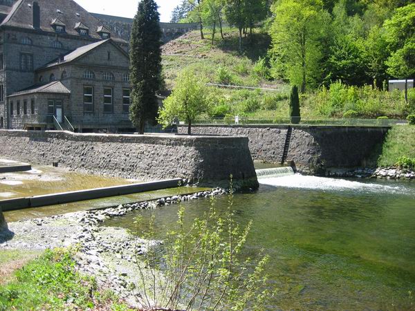 Diemel